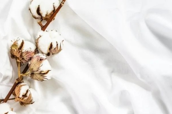 Sorumlu Tekstil Tüketimi: Geleceğin Modası Daha Bilinçli Seçimlerle Başlıyor